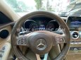 Mercedes-Benz C 250 2015 - Màu trắng