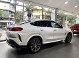 BMW X6 2023 - Ưu đãi tiền mặt tháng 3, quà tặng cùng phụ kiện full