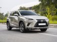 Lexus NX 300 2020 - Màu xám, nhập khẩu số tự động