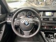 BMW 520i  520i dk 2017 nhập đức 2017 - BMW 520i dk 2017 nhập đức