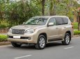 Lexus GX 460 2010 - Đã đi 6,9v km