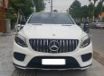 Mercedes-Benz GLE 43 2019 - Là dòng xe siêu hiếm tại thị trường Việt Nam