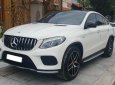 Mercedes-Benz GLE 43 2019 - Là dòng xe siêu hiếm tại thị trường Việt Nam