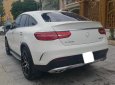 Mercedes-Benz GLE 43 2019 - Là dòng xe siêu hiếm tại thị trường Việt Nam