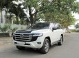 Toyota Land Cruiser 2021 - LC300