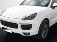 Porsche Cayenne 2017 - Cá nhân biển HN