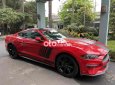 Ford Mustang   2.2 Ecoboost nhập Mỹ 2019 HN 2019 - Ford Mustang 2.2 Ecoboost nhập Mỹ 2019 HN