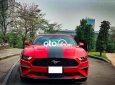 Ford Mustang   2.2 Ecoboost nhập Mỹ 2019 HN 2019 - Ford Mustang 2.2 Ecoboost nhập Mỹ 2019 HN