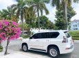 Lexus GX 460 Xe Chủ Tịch -  460 2015 Trắng Xe Gia Đình 2015 - Xe Chủ Tịch Lexus- GX 460 2015 Trắng Xe Gia Đình