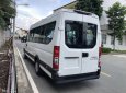 Thaco Iveco Daily Plus Daily Plus 2024 - Xe Mini Bus 19 chỗ Bầu hơi Iveco Daily Plus