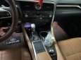Lexus RX 300 2020 - Xe cọp