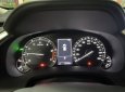 Lexus RX 300 2020 - Xe cọp