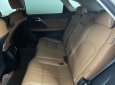 Lexus RX 300 2020 - Xe cọp