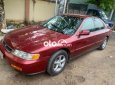 Honda Accord   1995 1995 - honda accord 1995