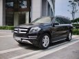 Mercedes-Benz GL 350 2015 - Model 2016 (thuộc hàng sưu tầm hiếm)