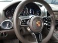 Porsche Cayenne 2015 - Đen, nội thất màu đặc biệt