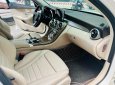 Mercedes-Benz C 250 2016 - Xe cực mới