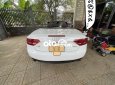 Audi A5   . Thích hợp làm xe rước dâu 2009 - Audi A5 mui trần. Thích hợp làm xe rước dâu