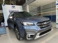 Subaru Outback 2023 - Xanh lam ánh kim giao ngay!