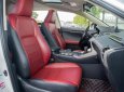 Lexus NX 300 2019 - 1 chủ sử dụng từ đầu, model 2020