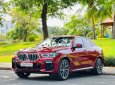 BMW M6  X6 2021 2021 - BMW X6 2021