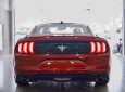 Ford Mustang 2022 - Xe mới 100% chưa lăn bánh