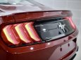 Ford Mustang 2022 - Xe mới 100% chưa lăn bánh