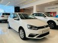 Volkswagen Polo 2022 - Xe mới nhập khẩu, giá hấp dẫn