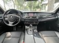 BMW 520i 2016 - Phiên bản Special Edition, trang bị full option