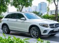 Mercedes-Benz GLC 300 2017 - Giá 1 tỷ 260 triệu