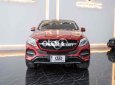 Mercedes-Benz E400 Mercedes GLE400 Couple 2015 đỏ kem 2015 - Mercedes GLE400 Couple 2015 đỏ kem