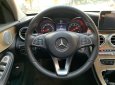 Mercedes-Benz C 250 2017 - Gốc thành phố