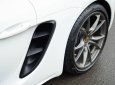 Porsche 718 2017 - Model 2018