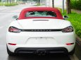 Porsche 718 2017 - Model 2018