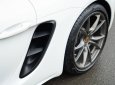 Porsche 718 2017 - Model 2018