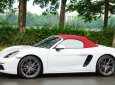 Porsche 718 2017 - Model 2018