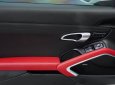 Porsche 718 2017 - Model 2018