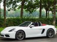 Porsche 718 2017 - Model 2018
