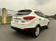 Hyundai Tucson 2010 - Nhập nguyên chiếc Hàn Quốc