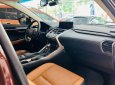 Lexus NX 300 2019 - Nhập khẩu Nhật Bản