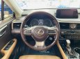 Lexus RX 300 2018 - Đăng kí lần đầu 2019, nhập khẩu Nhật Bản