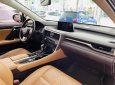 Lexus RX 300 2018 - Đăng kí lần đầu 2019, nhập khẩu Nhật Bản