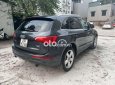 Audi A5  Q5 sx 2010 2010 - Audi Q5 sx 2010