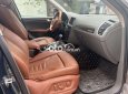 Audi A5  Q5 sx 2010 2010 - Audi Q5 sx 2010