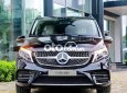 Mercedes-Benz V250 🔴Mercedes V250 AMG Đủ Màu - Nhập Khẩu Giao Ngay 2023 - 🔴Mercedes V250 AMG Đủ Màu - Nhập Khẩu Giao Ngay