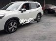 Subaru Forester   bản full 2019 - Subaru Forester bản full