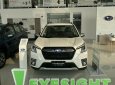 Subaru Forester 2023 - Hệ thống Eyesight thế hệ mới, các tính năng an toàn tuyệt đối