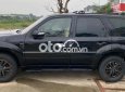 Ford Escape   2010 đi kĩ cần bán lên đời 2010 - ford escape 2010 đi kĩ cần bán lên đời
