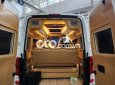 Hyundai Solati BÁN DCAR PRESIDENT PHIÊN BẢN ĐẶC BIỆT 2TY200 XEMƠI 2020 - BÁN DCAR PRESIDENT PHIÊN BẢN ĐẶC BIỆT 2TY200 XEMƠI