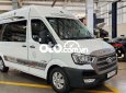 Hyundai Solati BÁN DCAR PRESIDENT PHIÊN BẢN ĐẶC BIỆT 2TY200 XEMƠI 2020 - BÁN DCAR PRESIDENT PHIÊN BẢN ĐẶC BIỆT 2TY200 XEMƠI
